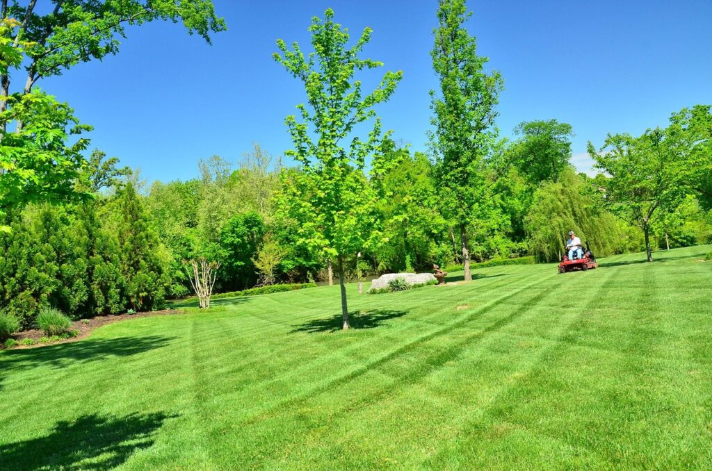 lawn care, lawn maintenance, lawn services, grass cutting, lawn mowing, green care, green service, lawn care, lawn care, lawn care, lawn care, lawn care, lawn mowing